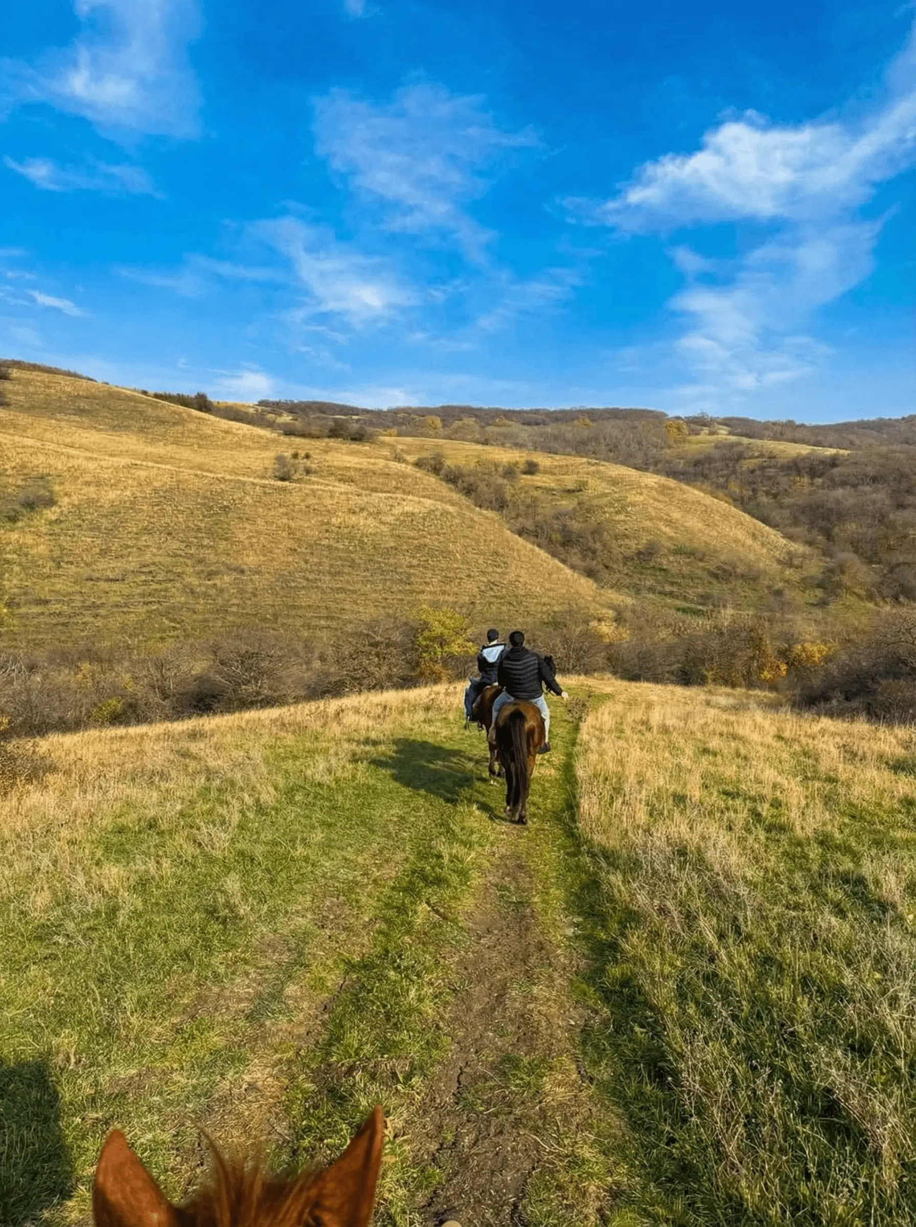Длинная прогулка photo 1