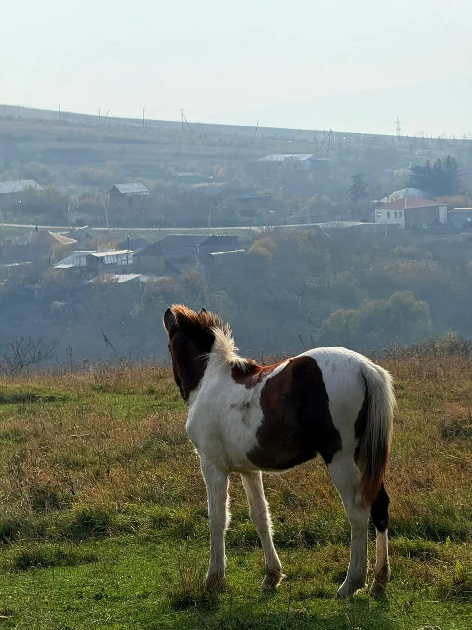 Короткая прогулка photo 2