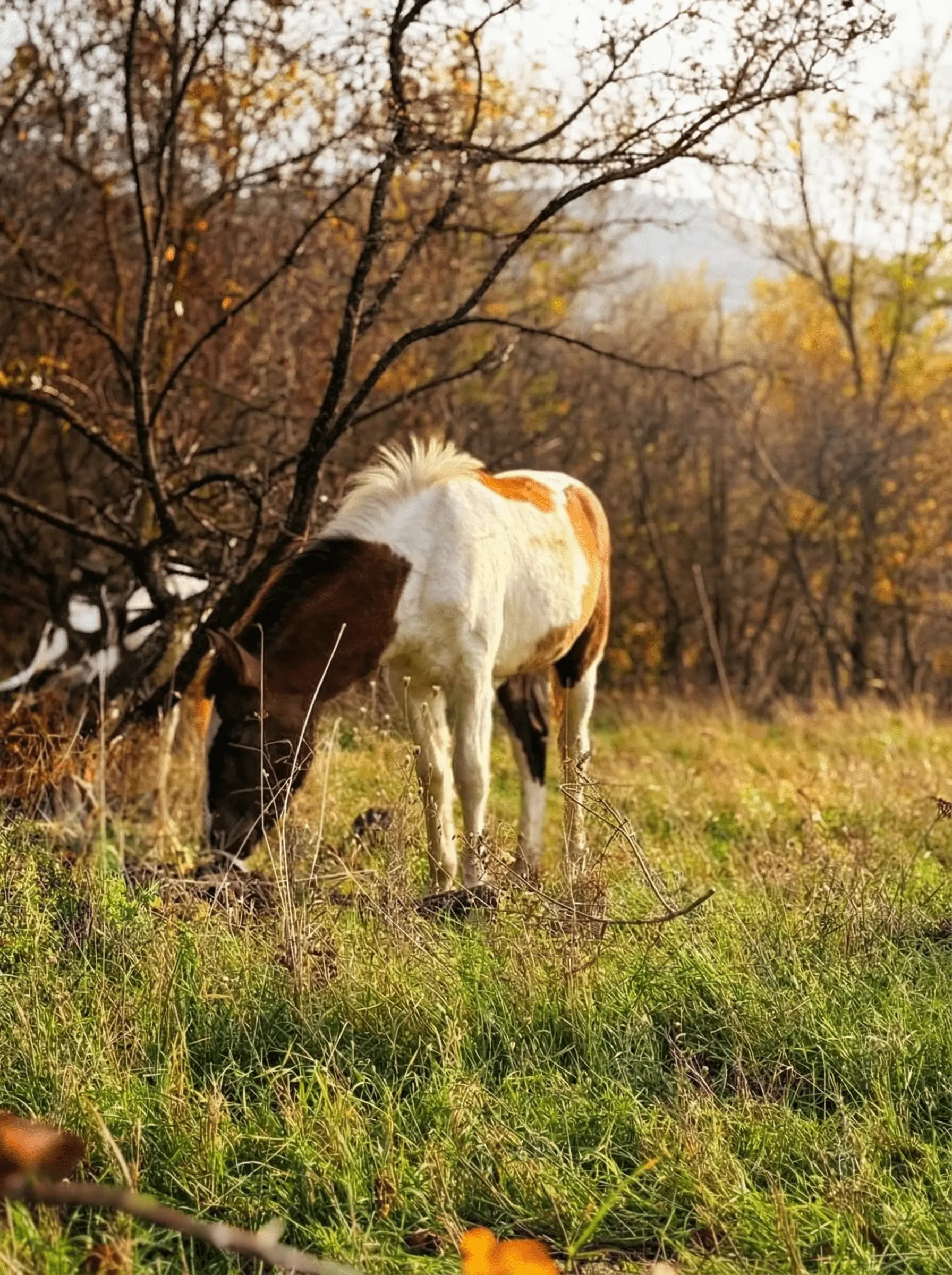 Длинная прогулка photo 2