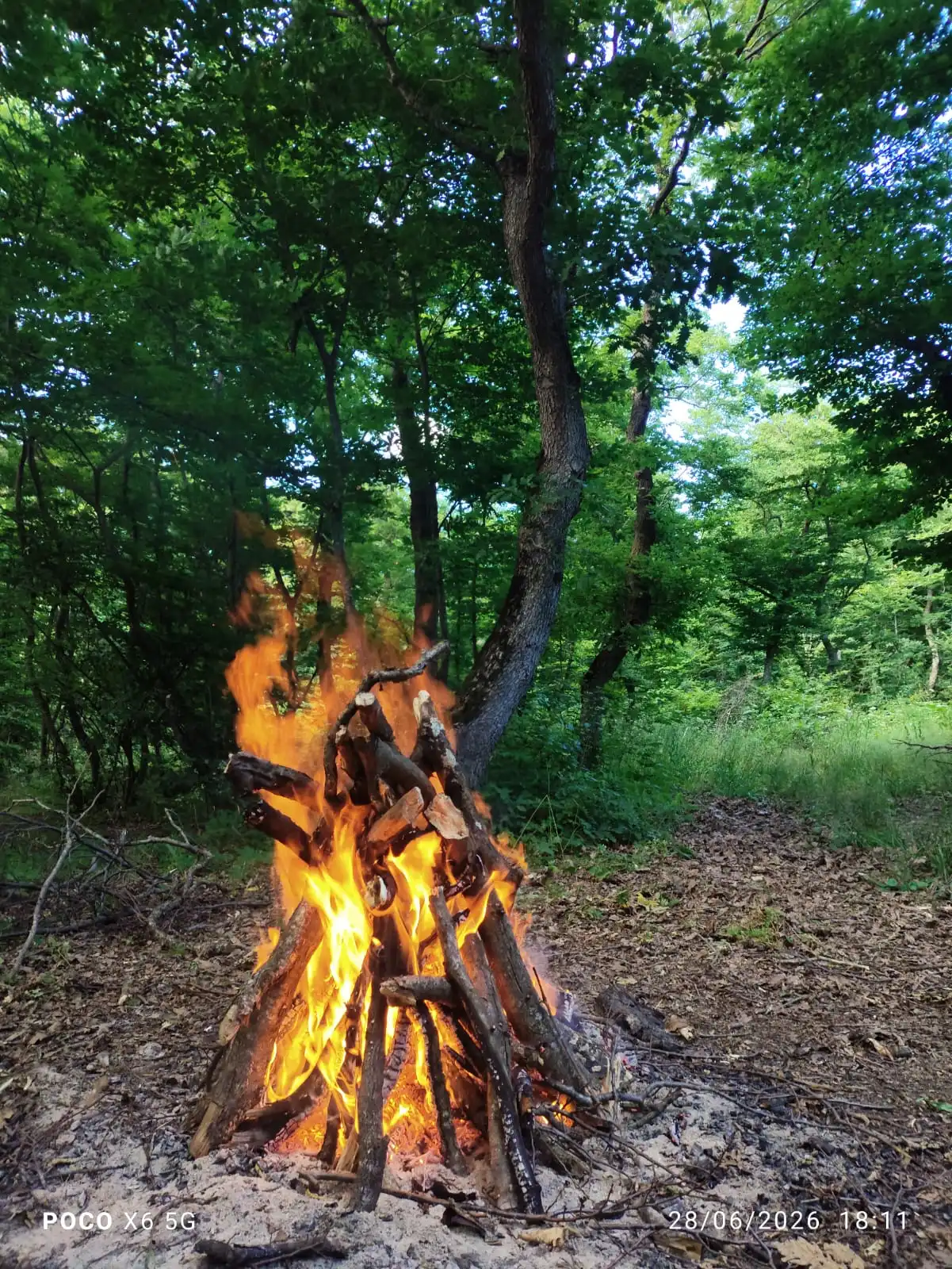 Picnic Ride photo 3